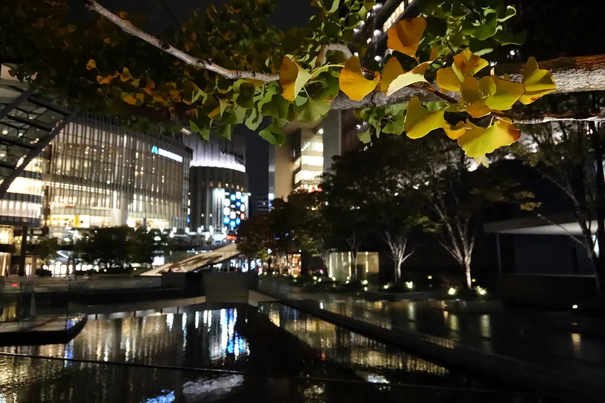 Osaka Impressions and the Expectations of Travel