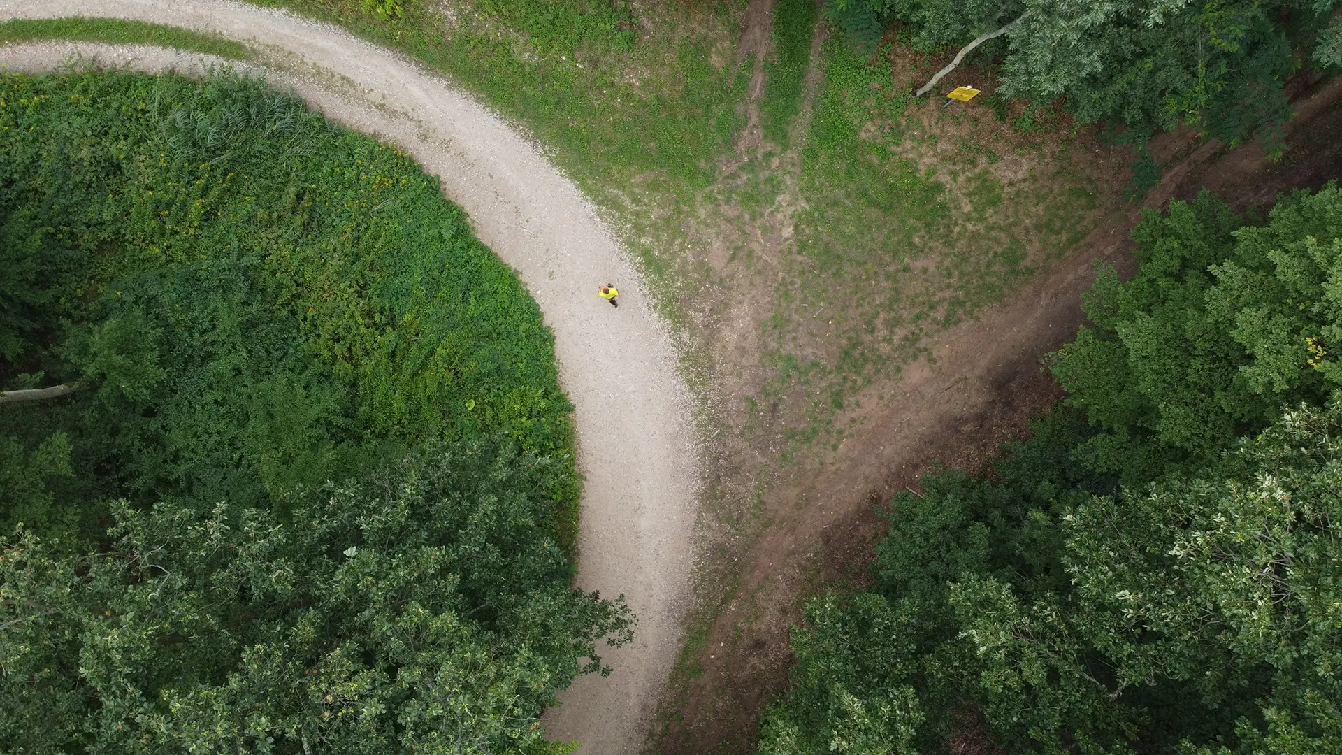 The Joy of Running in Circles 1: Same Path, Never the Same