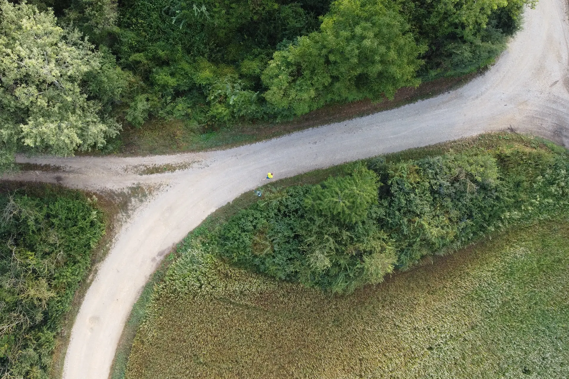 The Joy of Running in Circles 2: Same Path, Different Runner